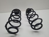 Rear coil spring