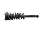 Front shock absorber with coil spring