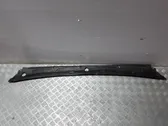 Windshield trim