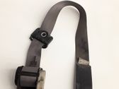 Cinturón trasero