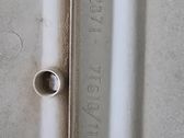 Rear door trim (molding)