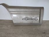 Rear door trim (molding)