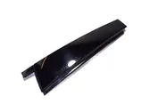 Rear door glass trim molding