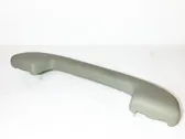 Front interior roof grab handle