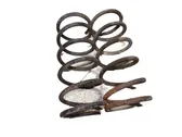 Front coil spring