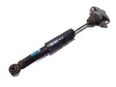 Rear shock absorber/damper