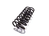 Rear coil spring