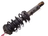 Front shock absorber with coil spring