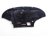 Unterfahrschutz Unterbodenschutz Motor
