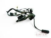 Front door wiring loom