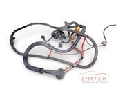 Other wiring loom