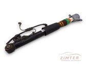 Rear shock absorber/damper