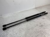 Tailgate/trunk strut/damper