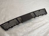 Front bumper lower grill