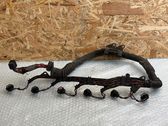 Cables de los inyectores de combustible