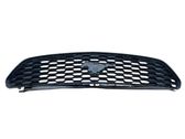 Front bumper upper radiator grill