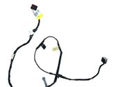 Other wiring loom