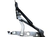 Tailgate/trunk/boot hinge