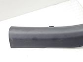 Rear sill trim cover