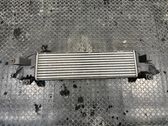 Intercooler radiator