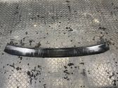 Front bumper lip