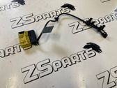 Other wiring loom