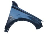 Fender
