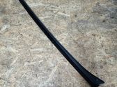Windshield trim
