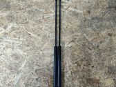 Tailgate/trunk strut/damper