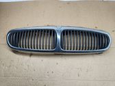 Front grill