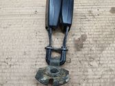 Middle seatbelt buckle (rear)