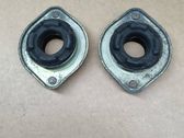Coil spring mount