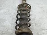 Front shock absorber/damper