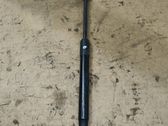 Tailgate/trunk strut/damper