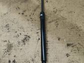 Tailgate/trunk strut/damper