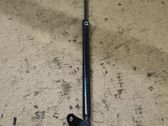 Tailgate/trunk strut/damper