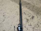Tailgate/trunk strut/damper