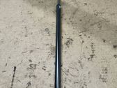 Tailgate/trunk strut/damper