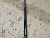 Tailgate/trunk strut/damper