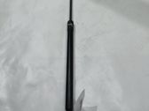 Tailgate/trunk strut/damper
