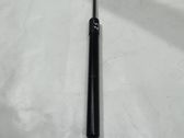 Tailgate/trunk strut/damper