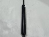 Tailgate/trunk strut/damper