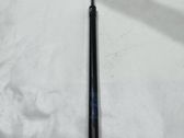 Tailgate/trunk strut/damper