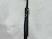 Front bonnet/hood damper/strut