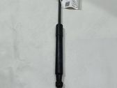 Front bonnet/hood damper/strut