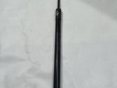 Tailgate/trunk strut/damper