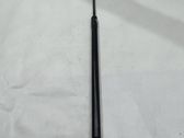 Front bonnet/hood damper/strut