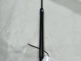 Tailgate/trunk strut/damper