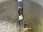 Rear shock absorber/damper