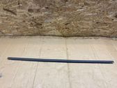 Rear door glass trim molding